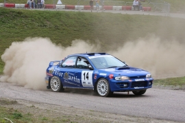 TM Rallysport In Action 2